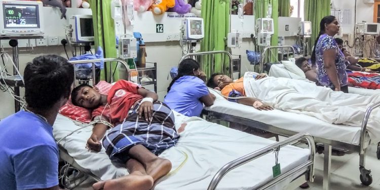 Sri Lanka to fight dengue virus with bacteria “Wolbachia”