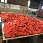 Rations prepared for 3500 people to be distributed during COVID-19 crisis