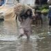 © Provided by Associated Press A laborer carries sack of onion while wades through a flooded area after heavy rainfall in Lahore, Pakistan, Thursday, Aug. 20, 2020. Emergency workers say relentless monsoon rains kill some people and injure many in Pakistan's most populous Punjab province. (AP Photo/K.M. Chaudary)
