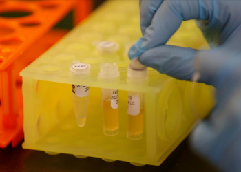 FILE PHOTO: A Lab technician works at Sorrento Therapeutics where efforts are underway to develop an antibody, STI-1499, to help in prevention of the coronavirus disease (COVID-19) in San Diego, California, U.S., May 22, 2020. REUTERS/Mike Blake