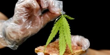 A chef prepares a sandwich with a marijuana leaf at Abhaibhubejhr hospital canteen which adds cannabis infused dishes to its menu after cannabis leaves, stems, stalks and roots were officially removed from Thailand's narcotics list, allowing basically any part of the plant except for the buds to be used for consumption in Prachin Buri province, outside Bangkok, Thailand January 15, 2021. REUTERS/Jorge Silva