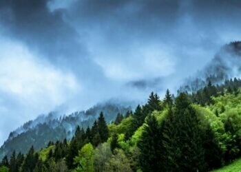 Climate. Image credits - Guy Bowden / Unsplash