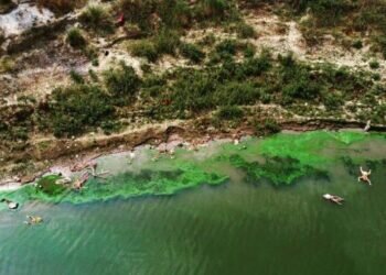 From the holy river, a story of human tragedy and State callousness