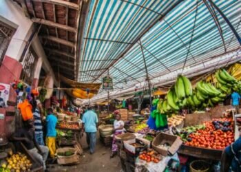 Kenya. Image credits - Photos By Beks @photosbybeks / Unsplash