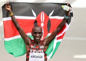 Image credits - MALI SAFI @Hylinee / Twitter