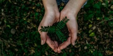 Image credits - Noah Buscher / Unsplash