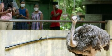 Nice to see you again — zoo reopens in Sri Lanka