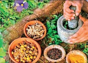 Sinhala Wedakam traditional medicine treatment centre for COVID-19