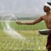 President Rajapaksa’s green agriculture campaign co-opts private sector