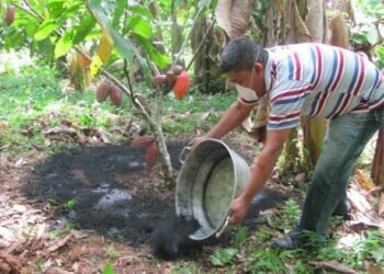 Indo-Lankan webinar on production of nutrients- enriched biochar for organic agriculture