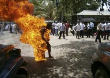 Is the cow slaughter ban linked to Provincial Council polls?