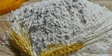 Wheat Flour