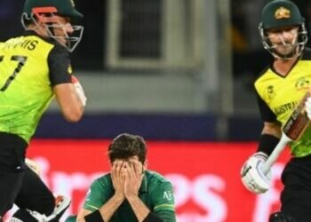 PAK vs AUS Semi Final 2 Live Score, T20 WORLD CUP 2021: Pakistan vs Australia T20. (Twitter)