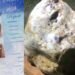 World’s largest natural corundum Blue Sapphire found in Sri Lanka