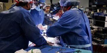 Surgeon Dr Muhammad M Mohiuddin leads a team placing a genetically-modified pig heart into a storage device at the Xenotransplant lab before it was transplanted into David Bennett, a 57-year-old patient with terminal heart disease [University of Maryland School of Medicine via Reuters]