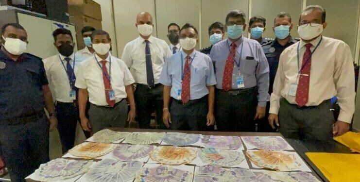 Smuggle out foreign currency worth millions