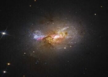 The black hole was spotted at the center of the dwarf galaxy Henize 2-10 (Image credit: NASA, ESA, Zachary Schutte, Amy Reines, Alyssa Pagan)