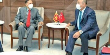 Turkiye seeks role in South Asian countries
