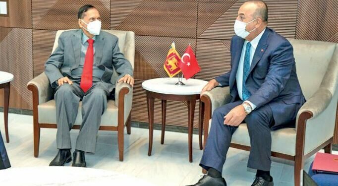 Turkiye seeks role in South Asian countries