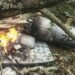 Gen Rawat’s chopper crashed due to pilot error in cloudy weather, the Court Of Inquiry finds