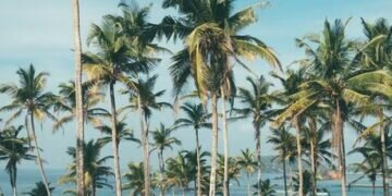 Beaches in Sri Lanka. Image credits - Oliver Sjöström @ollivves / Unsplash