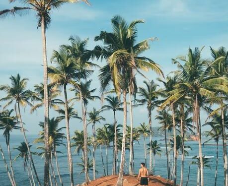 Beaches in Sri Lanka. Image credits - Oliver Sjöström @ollivves / Unsplash