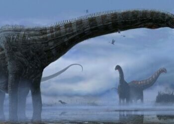 The sad and sorry story of Dolly the diseased dinosaur