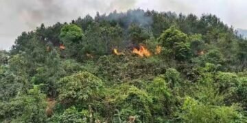 China Eastern Airlines Boeing with 132 on board crashes in China