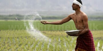 Sri Lanka’s unexplored economic goldmine