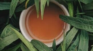 Tea. Image credits - Aniketh Kanukurthi @aniketh_kanukurthi / Unsplash