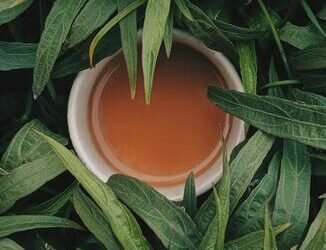 Tea. Image credits - Aniketh Kanukurthi @aniketh_kanukurthi / Unsplash