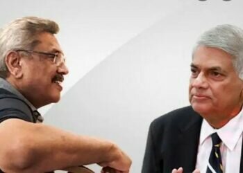 Pitfalls in the Gota-Ranil diarchy
