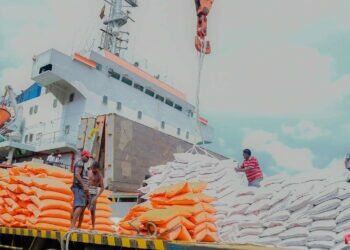 Lanka to import 50,000 mt of rice from India under credit line