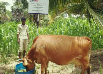 Combating food and medicine shortages in Sri Lanka