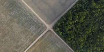 Four forest-rich nations accounted for roughly 80% of tropical deforestation caused by large-scale mining. (Photo: AP)