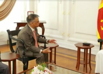 Lankan PM and Indian envoy discuss further investment in multiple sectors