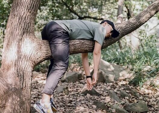 Lazy. Image credits - Zhang Kenny kennyzhang29 / Unsplash