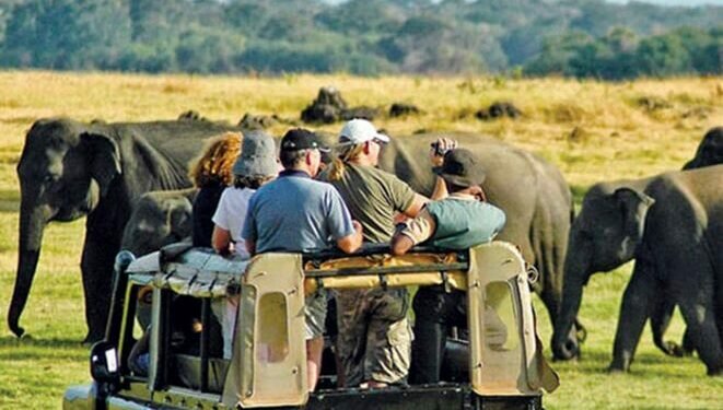 Scapegoating wildlife guides to save minister Amaraweera’s son