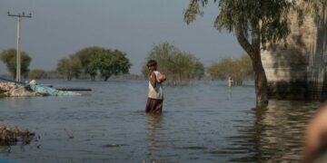 COP27 talks weigh who should pay for climate damage to poor countries