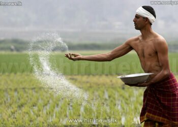 Lanka to learn from China new ways to increase rice production