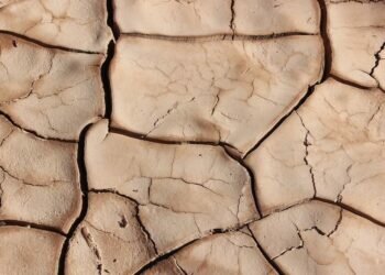 Image credits - Brad Helmink bradhelmink / Unsplash