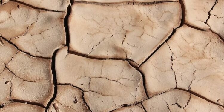 Image credits - Brad Helmink bradhelmink / Unsplash