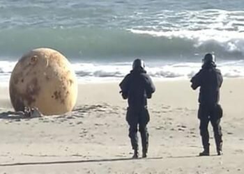 Mystery sphere found on beach perplexes Japan