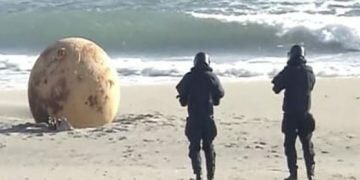 Mystery sphere found on beach perplexes Japan
