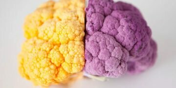 Jessica Peterson/ Getty Images