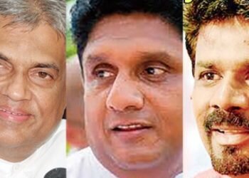 Survey reveals political disarray in Sri Lanka as it battles financial crisis