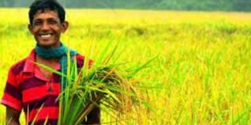 Bangladesh’s riverine villages are benefiting from clever design