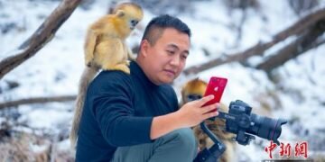 Chinese embassy denies knowledge of deal to import monkeys from Lanka