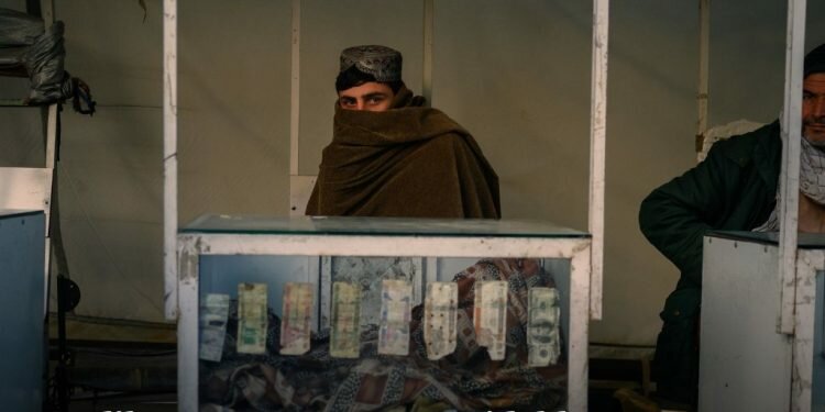 Taliban prove to be formidable tax collectors, putting squeeze on Afghans