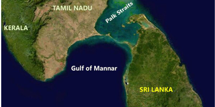 Lankan economists call for revival of road, rail bridge across Palk Strait